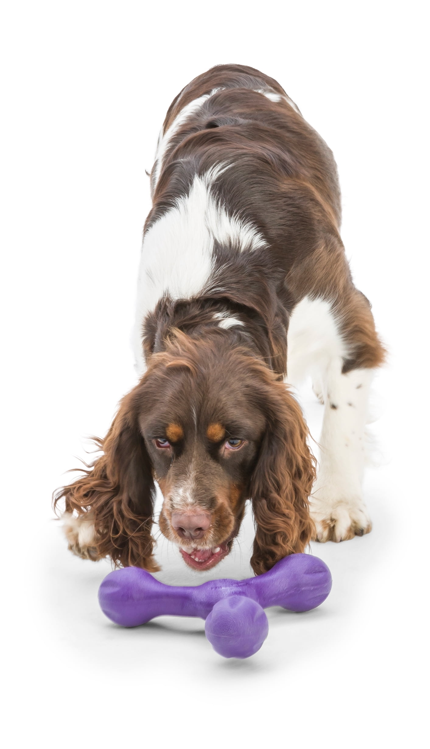 West Paw Zogoflex Echo Skamp Large 8.5" Dog Toy Eggplant