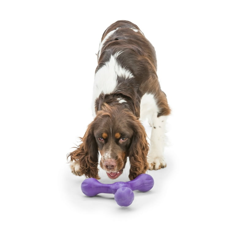 West Paw Skamp Dog Toy Eggplant