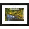 thumbnail image 3 of North Fork Silver Creek, Silver Falls State Park, Oregon, USA, Scenic Seasons World Culture Framed Art Print Wall Art by Jamie  Judy Wild Sold by Art.Com, 3 of 6