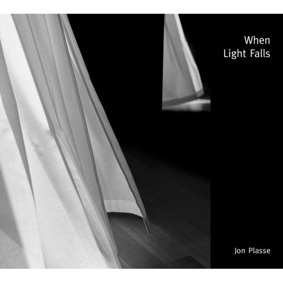 When Light Falls, (Hardcover)