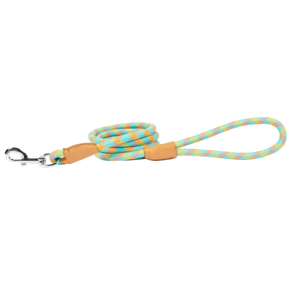 Vibrant Life 6' Polyester Mosaic Rope Dog Leash, Multicolor Walmart