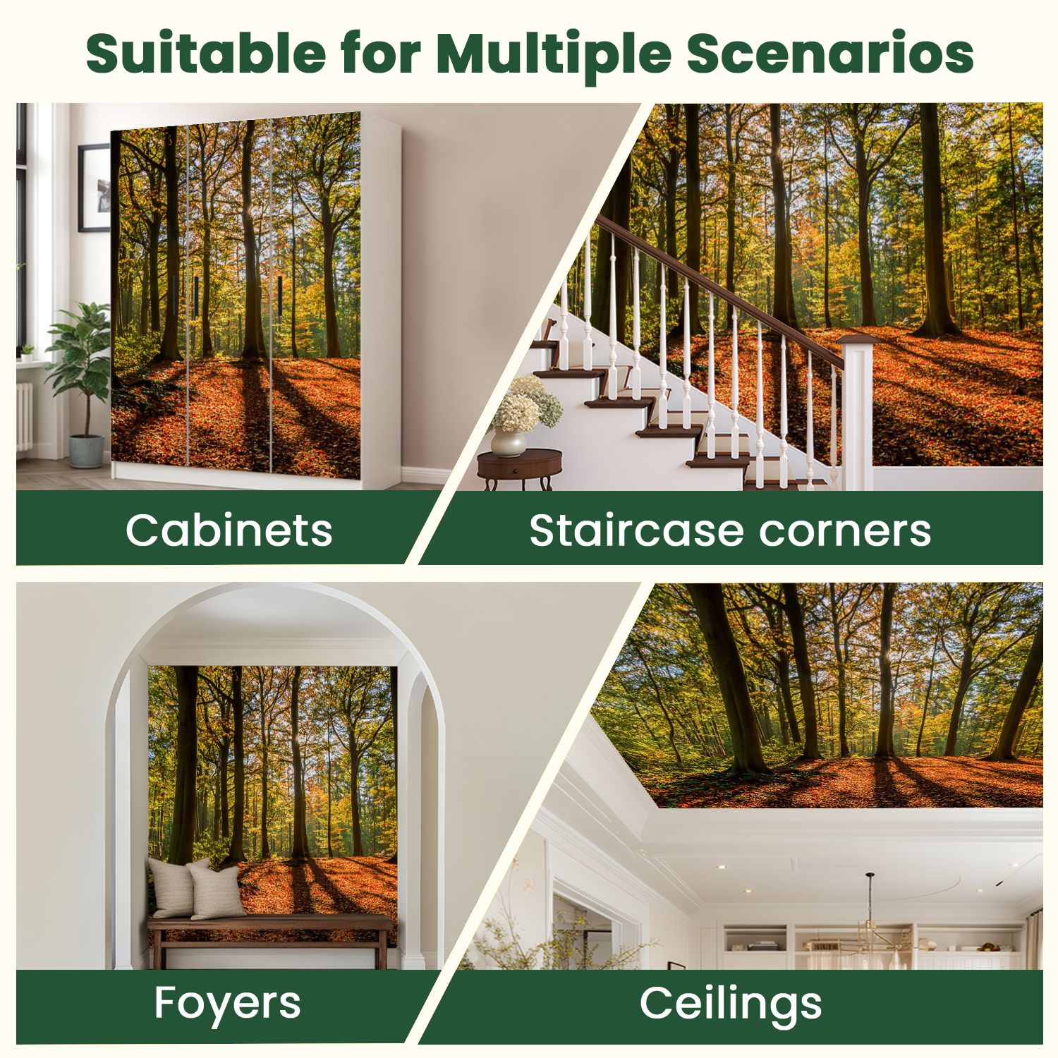 Peel and Stick Wallpaper Wonderful sunny day autumn sunlight coming trees shadows leaves ground Modern Art Wall Mural Decor Self Adhesive and Removable 100in x 144in