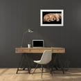 thumbnail image 3 of Jaynes Gallery 14x11 White Modern Wood Framed Museum Art Print Titled - Cocker spaniel puppies sleeping, 3 of 4