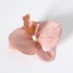 thumbnail image 1 of Nvzi 20 cabezas de flores de mariposa artificiales de seda para decoración de bodas, ramos y fiestas, 3,54 pulgadas, color marrón, 1 of 5