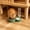 Green286, variant on Tuvgenk 2-in-1 Cat & Dog Bowl Set with Automatic Water Dispenser & Food Tray Non-Slip Pet Feeder 10.63" Blue