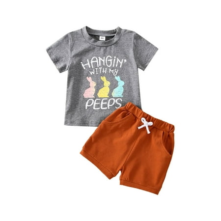 

Sunisery 2Pcs Toddler Baby Boy Easter Outfits Bunny Short Sleeve T-shirt Top and Casual Shorts Outfits Gray 6-12 Months