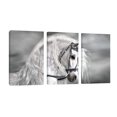 thumbnail image 1 of Cuadro Decorativo Tríptico Vertical Canvas Revolution Caballo Blanco Humo Set De 3 Cuadros 25x38 cm, 1 of 5