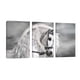 thumbnail image 1 of Cuadro Decorativo Tríptico Vertical Canvas Revolution Caballo Blanco Humo Set De 3 Cuadros 25x38 cm, 1 of 5