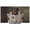 Black, Brown, White, Grey, variant on TV Cover Indoor, Cute Puppy Stretch TV Dust Cover Television Screen Protector, Funny Dogs Reading Newspaper Toilet Elastic Polyester Display Covers, Monitor Slipcover for LED LCD TVs 24 Inch
