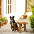 thumbnail image 6 of Greenage Rustic Cedar Roots Stool, 13.5"x10"x12.2"H, 6 of 10