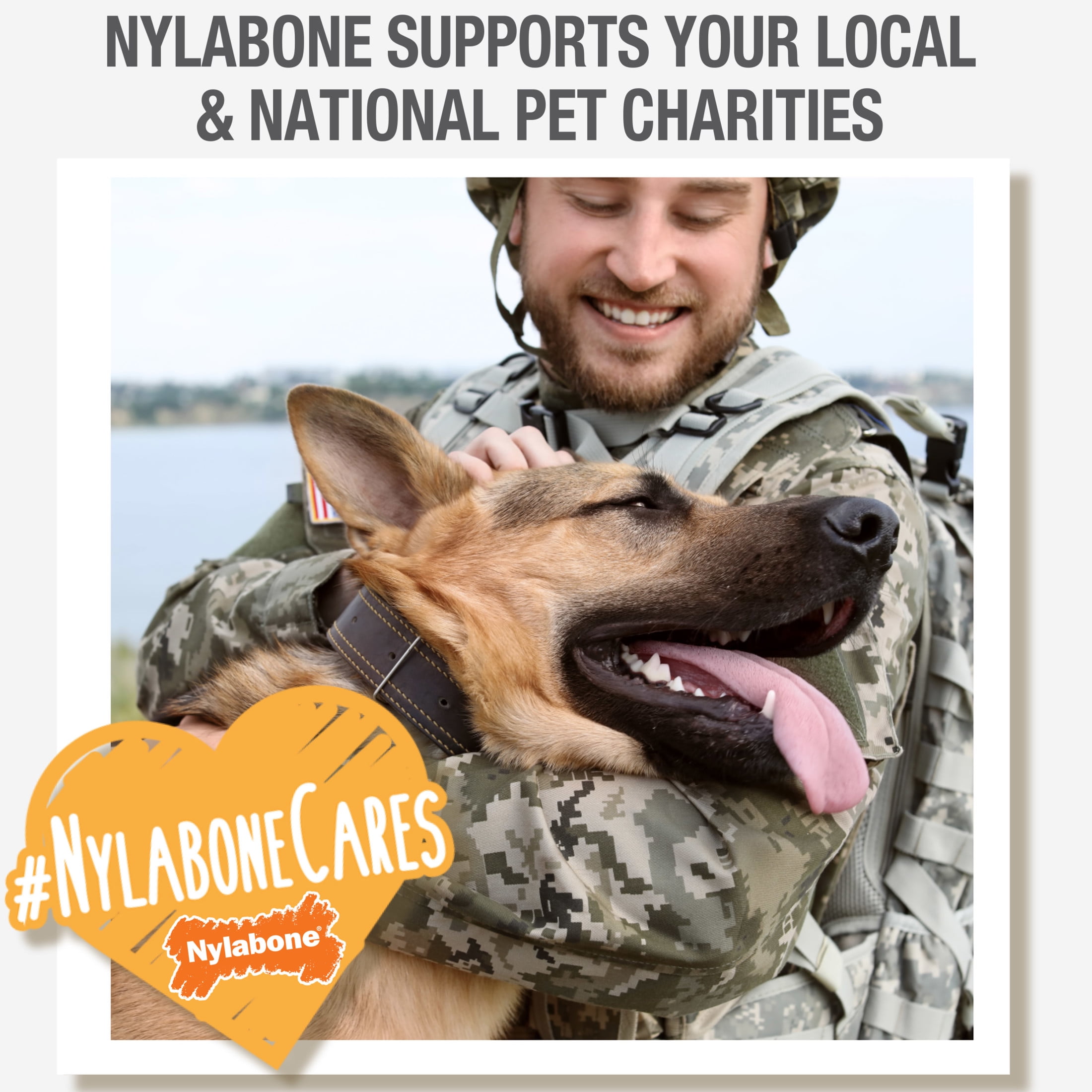 (4 pack) Nylabone Nubz Wild Dog Treats for Small Dogs, Bison Flavor Dog Bones, Small - Up to 25 lbs., 12 Count