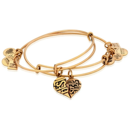 Alex And Ani Best Friends Set Of 2 Charm Rafaelian Gold Bangles (Best Cigars For Women)