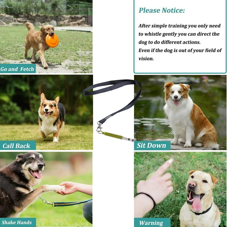 Professional Dog Training Tools Dog Whistle Adjustable Frequency