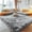 Light Gray, variant on Pentantan Shag Area Rugs, 5ft x 8ft Soft Fluffy Indoor Carpet for Living Room Bedroom Decor, Light Gray