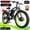 Black-Green, variant on 6000W Peak Dual Motor Ebike, 60V 25AH Battery Electric Bike for Adults,AWD 21-Speed 50MPH Mountain Snow E-Bike with 26" x 4.0 Fat Tire, Long Range Mountain Dirt Bike for Off-Road Snow Sand