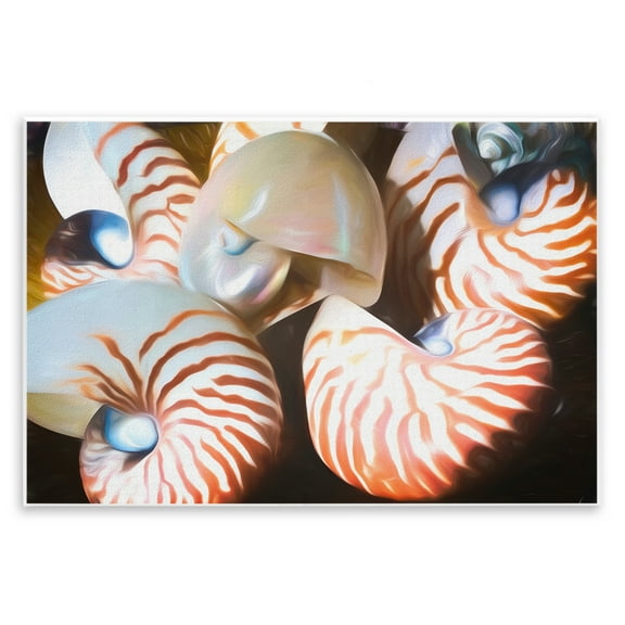 Stupell Industries Nautilus Shells Cluster Nautical & Beach Painting Unframed Art Print Wall Art, 15 x 10