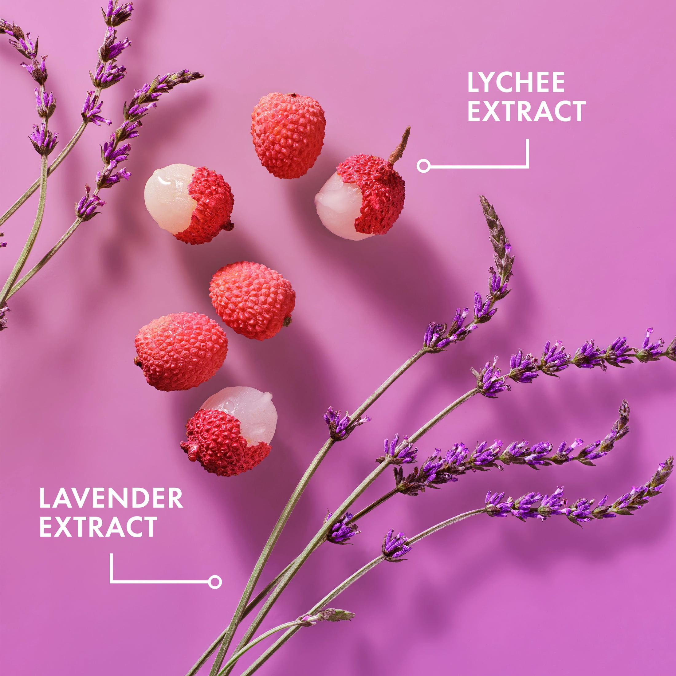 Mielle Lavender and Lychee Daily Scalp Moisturizing Lotion - 4 fl oz