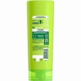 thumbnail image 4 of Garnier Fructis, Grow Strong Conditioner, With Apple Extract, 354 mL, 4 of 5