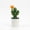 2, variant on Artificial Tropical Cactus Miniature Potted Plant Creative Desktop Green Decor for Home Office Shelf Tabletop Ornament