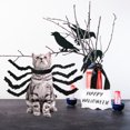 thumbnail image 3 of OULII Pet Spider Costume Black Creative Spider Durable Safe Material for Dog and Cat, 3 of 8