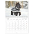 thumbnail image 5 of Little horses. Mini ponies to fall in love with (Monthly Wall Calendar 2026 11.7 x 16.5 (open)), CALVENDO 14 Month Calendar, 5 of 9