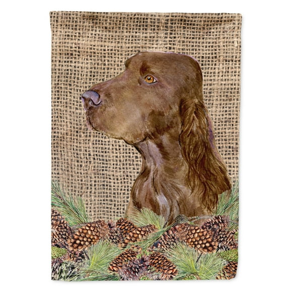 Carolines Treasures SS4066-FLAG-PARENT Field Spaniel Flag  multicolor