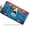 Colorful Shark Illustration, variant on Four leaf Clover Front License Plate, Metal License Plate, Funny Standard Plates Personalized Novelty Decorative For Men/Women/Boys/Girls Car 6×12 Inch
