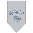thumbnail image 3 of Pet and Dog Bandana Rhinestone, "Birthday Boy", 3 of 10