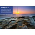 thumbnail image 4 of Discovery Real Life Sticker Book: Ocean, 4 of 5