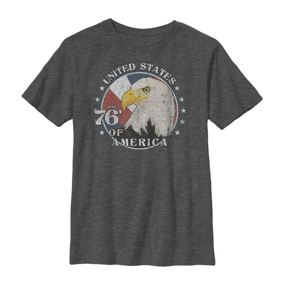 Boy's Lost Gods Fourth of July  Patriotic Circle  Graphic Tee Charcoal Heather Medium