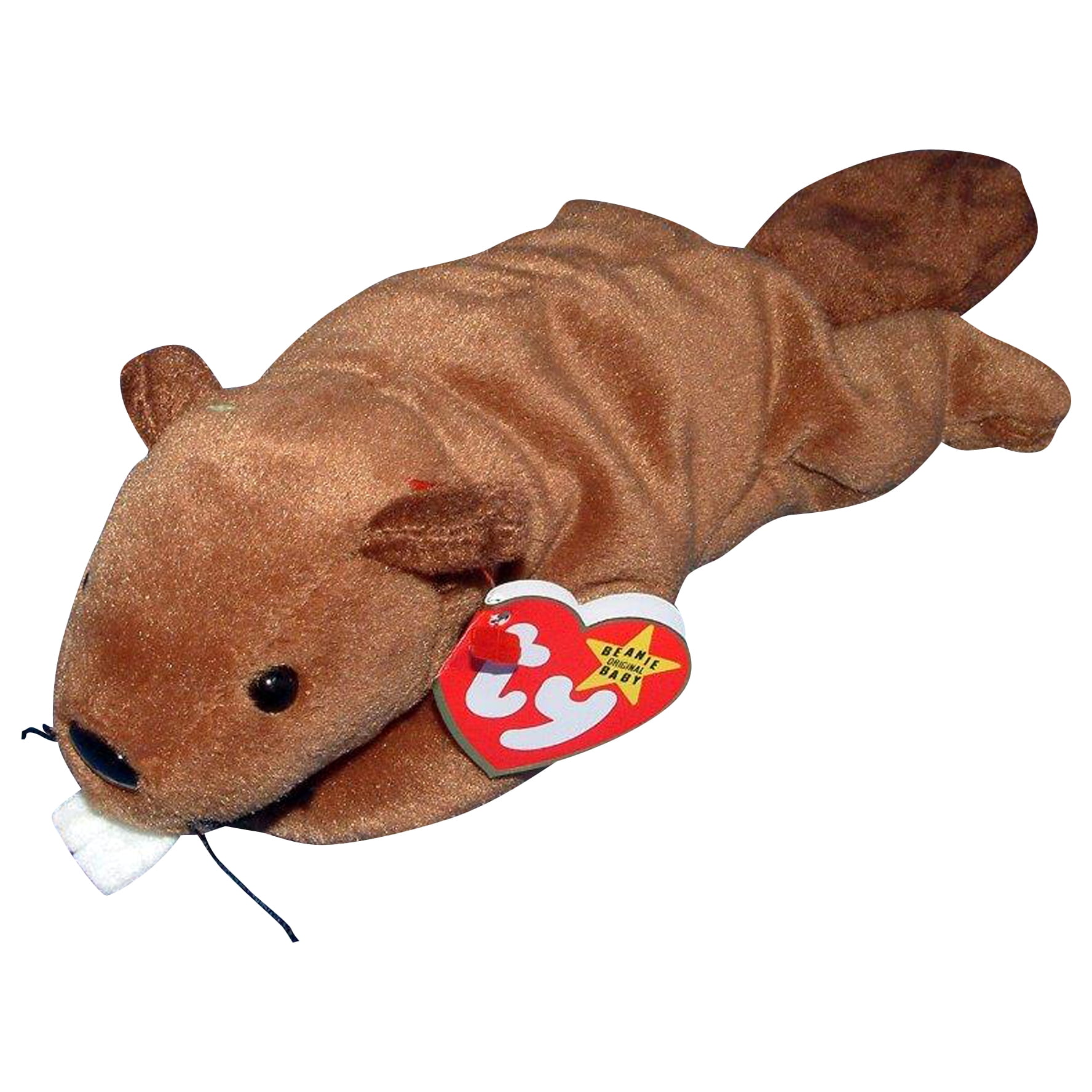 Ty Beanie Baby: Bucky the Beaver | Stuffed Animal | MWMT