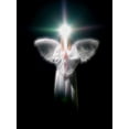 thumbnail image 2 of Frank, Assaf 15x18 White Modern Wood Framed Museum Art Print Titled - FTBR 1701 Angel, 2 of 4