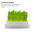 thumbnail image 3 of LITINKIMI Planter for Cat Grass Growing Plastic 1Set 7.43x4.83x1.77in, 3 of 8