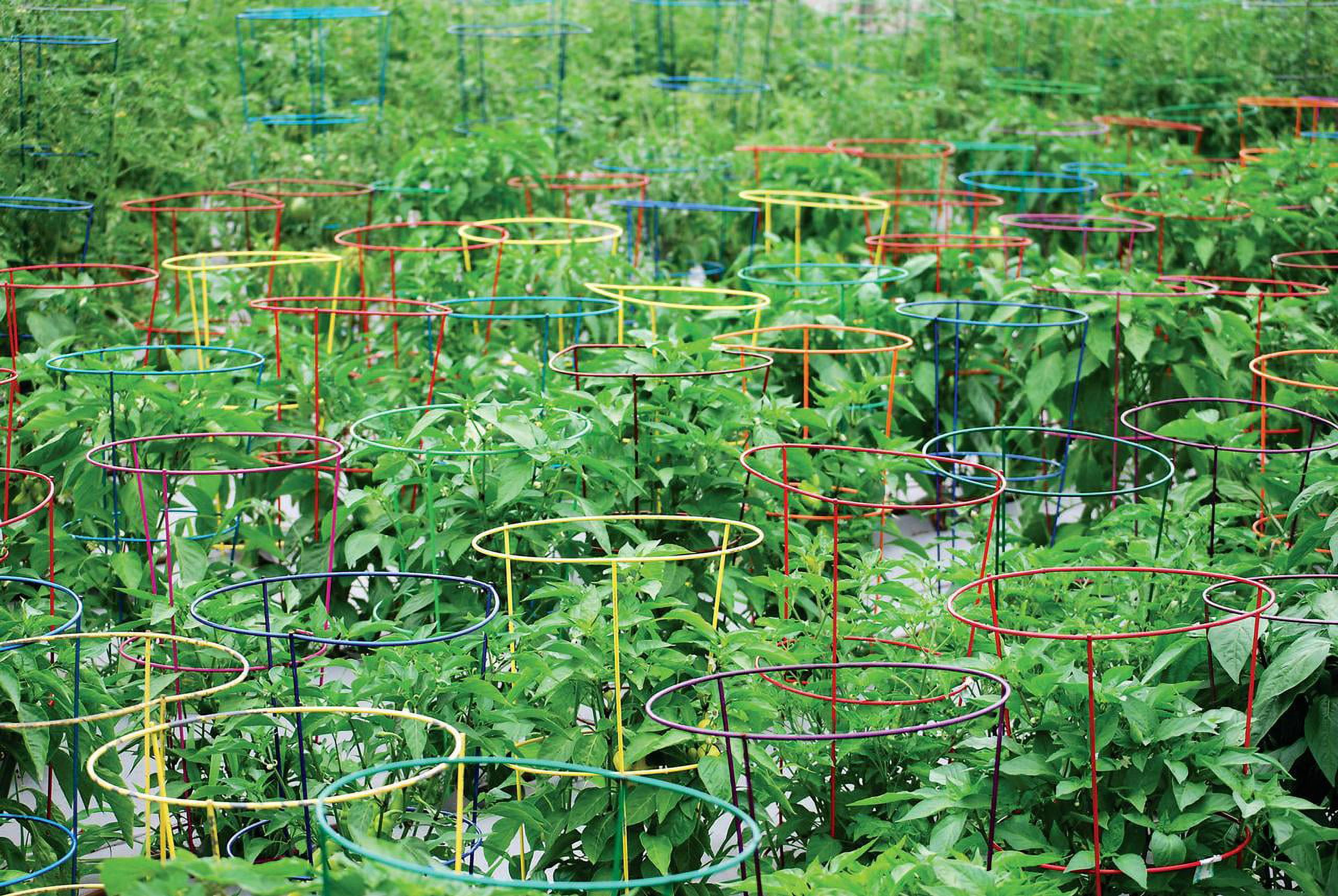 Glamos - Wire 42 in., Light Green, Heavy Duty Tomato Cages