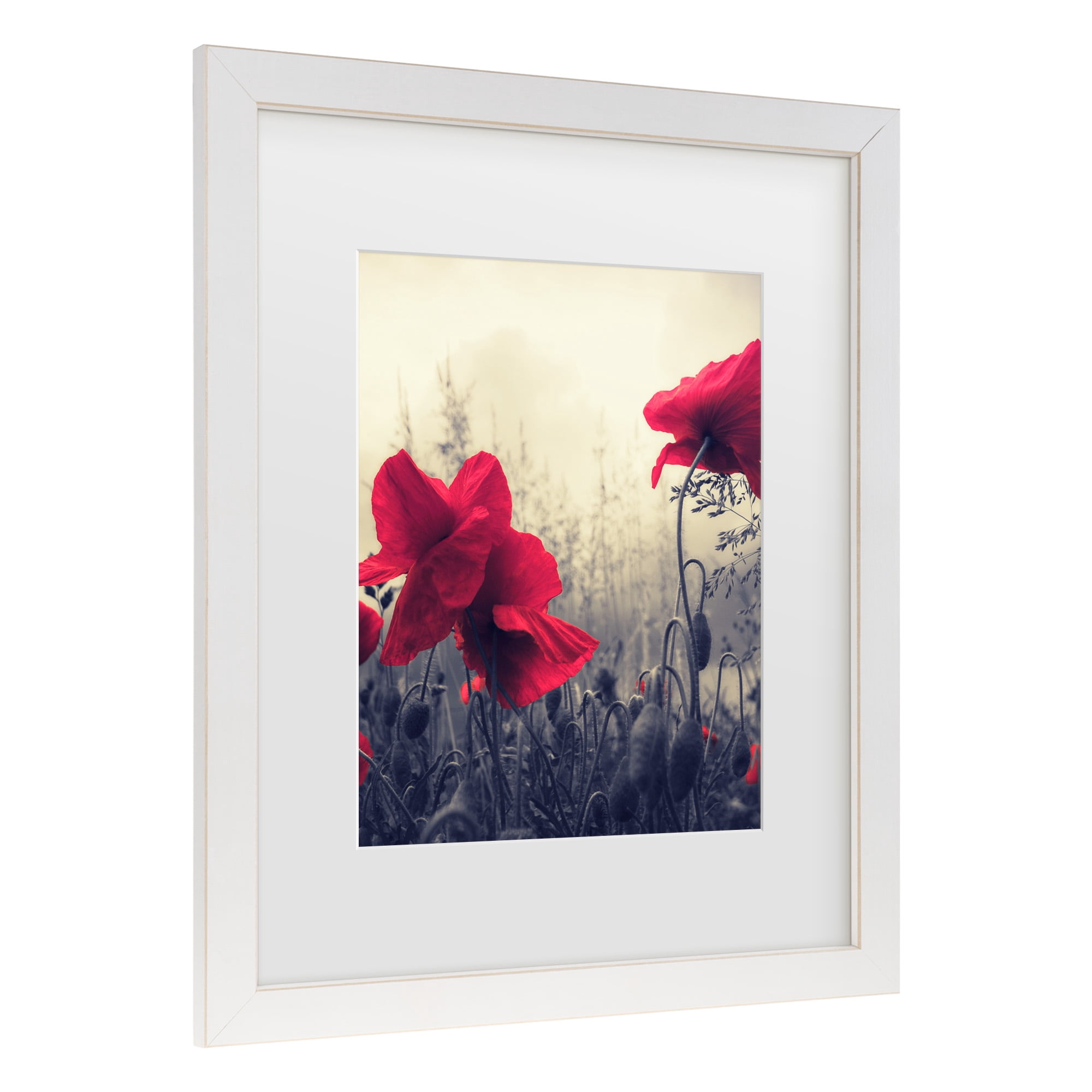 Trademark Fine Art 'Limitless' Canvas Art by Philippe Sainte-Laudy