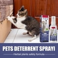 thumbnail image 6 of FHBVT Cat Scratch Deterrent Spray 50ml Natural Bitter Formula Orange Scent Furniture Protector Anti-Chew Training Aid Indoor Outdoor Use for Sofa Wire Curtain Home Pet Daily Protection Decor, 6 of 10