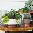 thumbnail image 5 of The HC Companies 8 Inch Capri Bowl Indoor Planter Pot (2 Pack), 5 of 5