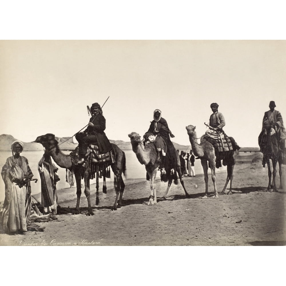 Camel Caravan C1900. Na Camel Caravan At El Qantara Egypt On The East ...