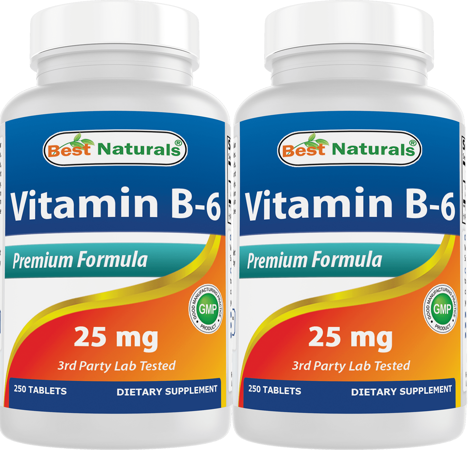 2 Pack Best Naturals Vitamin B6 25 mg 250 Tablets