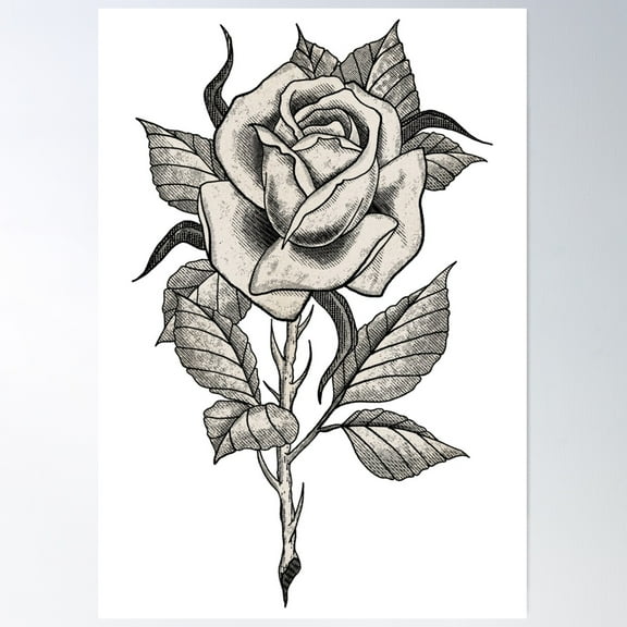 Botanical Rose Illustration Poster Wall Art, Modern Wall Decor For Living Room Bedroom, 12x18 UNFRAMED