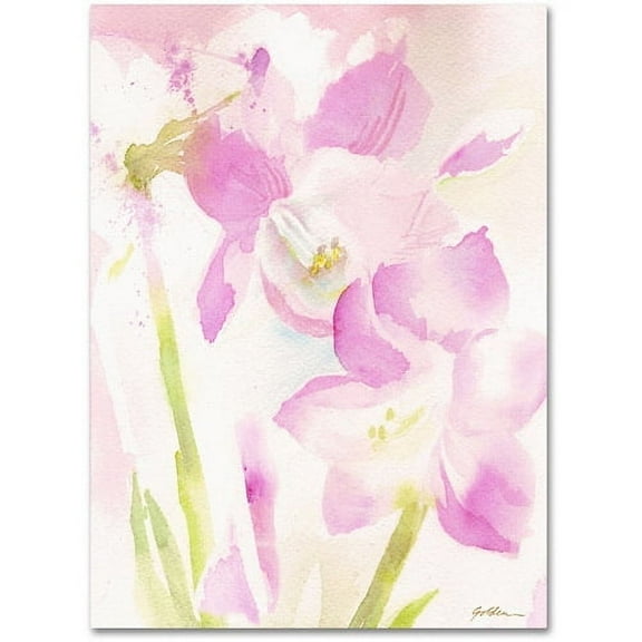 Trademark Fine Art "Amaryllis Blossoming" Canvas Art by Sheila Golden