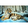 thumbnail image 1 of Custom Printed Rugs AWV082 Tiger 18 x 30 in. Doormat Rug - Blue, Gold & Yellow, Yellow, 1 of 1
