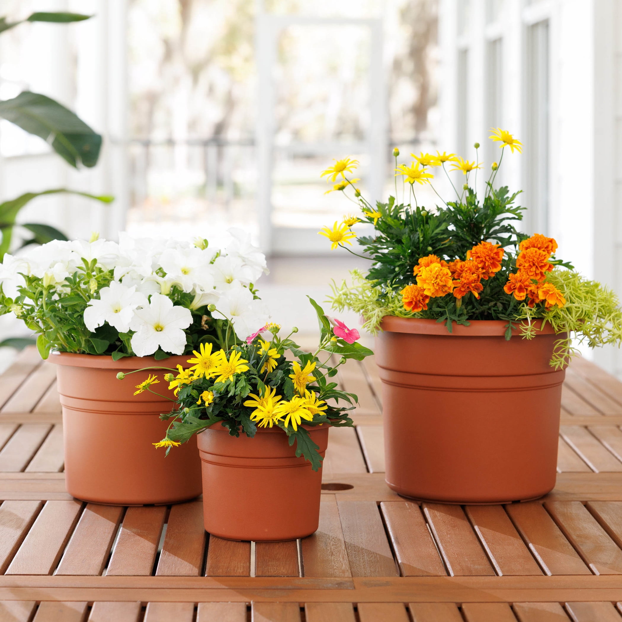 Bloem Posy 8" Round Plastic Planter, UV-Resistant Indoor/Outdoor Pot, Terra Cotta