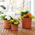 thumbnail image 2 of Bloem Posy 10" Round Plastic Planter, UV-Resistant Indoor/Outdoor Pot, Terra Cotta, 2 of 5