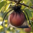 thumbnail image 5 of 100pcs Fruit Protection Bags, Fruit Bags for Fruit Trees, Green Netting Fruit Cover Bags Drawstring Mesh Fruit Protectors Pest Barrier for Fruit Trees Veggies Garden, Black 3.94x5.91in, 5 of 6