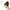 other, variant on Grofry Hair Band Lady Girl Fashion Sweet Metal Hollow Rose Flower Elastic Hair Band Headband