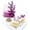 Pink Monarch, variant on Sugar Robot Edible Butterflies for Cake Decorating- Ombre Monarch Butterfly- Cake Toppers and Cupcake Toppers - Premium Crafted (Purple)