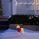 thumbnail image 4 of Teissuly Christmas Lighted Animals, Glittering Animals With Strip Lights For Outdoor Patio Decoration, Artificial Pre-lit Christmas Decorative LED Lights Teissuly WER202310160557, 4 of 6