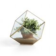 thumbnail image 1 of Danya B. EK0312 Cube Laiton & Verre Terrarium&44; Clair - 7 Po, 1 of 1