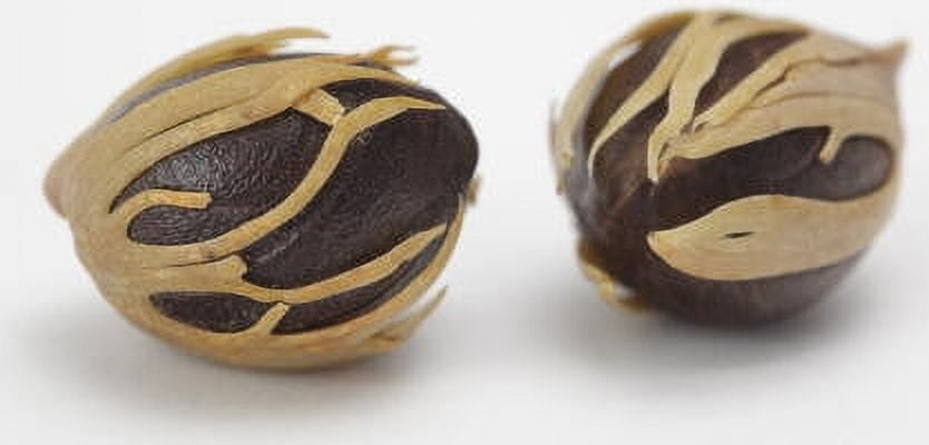 Nutmeg Essential Oil 1 fl oz (30 ml) - 100% Pure and Natural by Silky Scents